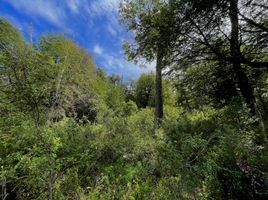  Terreno (Parcela) en venta en Rio Negro, Bariloche, Rio Negro