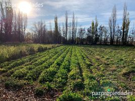  Land for sale in Confluencia, Neuquen, Confluencia