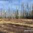  Land for sale in Confluencia, Neuquen, Confluencia