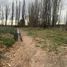  Land for sale in Confluencia, Neuquen, Confluencia