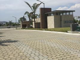  Grundstück zu verkaufen in Atlixco, Puebla, Atlixco, Puebla
