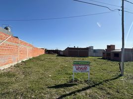  Land for sale in Colon, Entre Rios, Colon