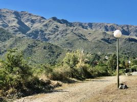  Terreno (Parcela) en venta en Junin, San Luis, Junin