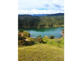  Terreno (Parcela) en venta en Guatape, Antioquia, Guatape