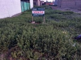  Terreno (Parcela) en venta en Rio Negro, General Roca, Rio Negro