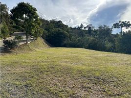  Land for sale in El Carmen De Viboral, Antioquia, El Carmen De Viboral