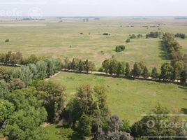  Land for sale in La Plata, Buenos Aires, La Plata