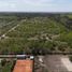 Terrain à vendre à Berazategui, Buenos Aires, Berazategui, Buenos Aires