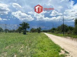  Terreno (Parcela) en venta en Junin, San Luis, Junin