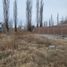  Land for sale in Neuquen, Confluencia, Neuquen