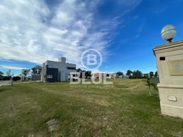  Land for sale in San Vicente, Buenos Aires, San Vicente