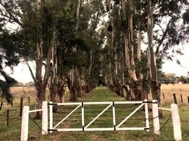  Land for sale in Exaltacion De La Cruz, Buenos Aires, Exaltacion De La Cruz