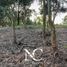  Grundstück zu verkaufen in La Costa, Buenos Aires, La Costa