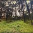  Land for sale in Villa Gesell, Buenos Aires, Villa Gesell