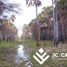  Land for sale in Oran, Salta, Oran