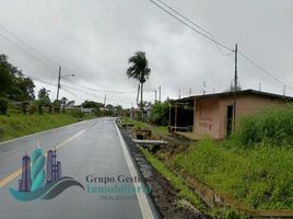  Terreno (Parcela) en venta en Renacimiento, Chiriquí, Breñón, Renacimiento