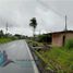  Land for sale in Brenon, Chiriqui, Brenon, Renacimiento