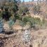  Land for sale in Valparaiso, Vina Del Mar, Valparaiso, Valparaiso