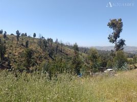  Land for sale in Valparaiso, Vina Del Mar, Valparaiso, Valparaiso