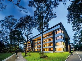 2 Habitación Apartamento en venta en Universidad de la Frontera Campus Pucón, Pucón, Pucón