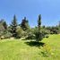 6 Habitación Casa en venta en San Jode de Maipo, Cordillera, San Jode de Maipo