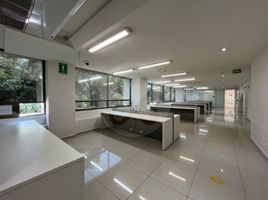 380 m² Office for rent in Miguel Hidalgo, Ciudad de México, Miguel Hidalgo