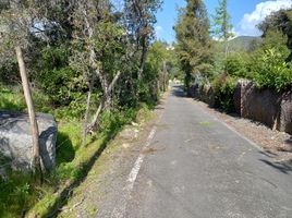  Terreno (Parcela) en venta en Valparaíso, Quilpue, Valparaíso, Valparaíso