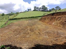  Land for sale in El Carmen De Viboral, Antioquia, El Carmen De Viboral