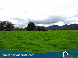 Estudio Casa en venta en Tenjo, Cundinamarca, Tenjo