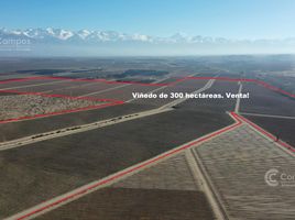 Studio House for sale in Argentina, Tupungato, Mendoza, Argentina