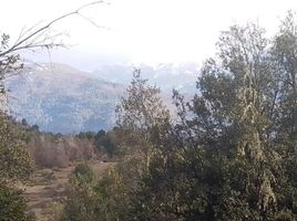  Land for sale in Neuquen, Lacar, Neuquen