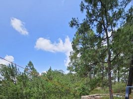 Terreno (Parcela) en venta en Mazamitla, Jalisco, Mazamitla