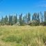  Land for sale in Neuquen, Confluencia, Neuquen