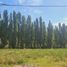  Land for sale in Neuquen, Confluencia, Neuquen