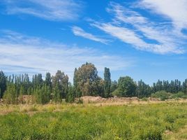  Land for sale in Neuquen, Confluencia, Neuquen