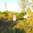  Land for sale in Uruguay Entre Rios, Uruguay
