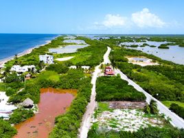 Terrain à vendre à Dzidzantun, Yucatan, Dzidzantun