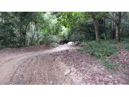  Land for sale in Magdalena, Santa Marta, Magdalena