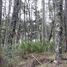  Land for sale in Los Lagos, Neuquen, Los Lagos