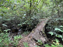  Land for sale in Los Lagos, Neuquen, Los Lagos