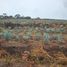  Land for sale in Acatlan De Juarez, Jalisco, Acatlan De Juarez