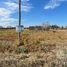  Land for sale in Primero De Mayo, Chaco, Primero De Mayo
