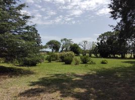  Land for sale in La Plata, Buenos Aires, La Plata