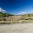  Land for sale in Huiliches, Neuquen, Huiliches