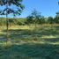  Land for sale in Concordia, Entre Rios, Concordia