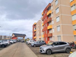 3 chambre Appartement for sale in Araucania, Nueva Imperial, Cautin, Araucania