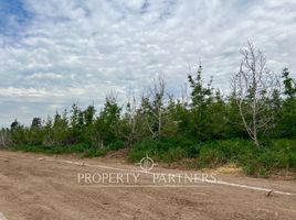  Terreno (Parcela) en venta en Chacabuco, Santiago, Colina, Chacabuco