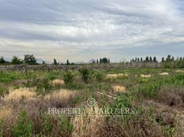  Terreno (Parcela) en venta en Chacabuco, Santiago, Colina, Chacabuco