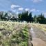 Land for sale in Maule, San Clemente, Talca, Maule