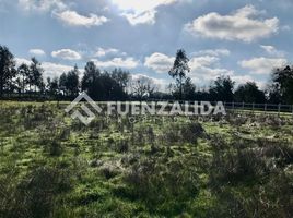  Land for sale in Maule, San Clemente, Talca, Maule